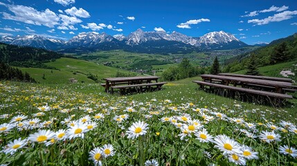 Alpine meadow picnic tables, flowers, mountains, sunny day
