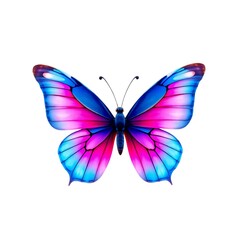 Obraz premium butterfly on white background