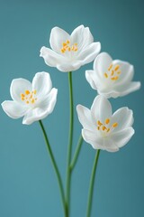 Obraz premium White Wild Roses, Close Up on a Teal Background Nature Photography with Delicate Floral Beauty