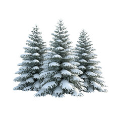 Obraz premium Wintery pine trees covered in snow against a black background. isolated on white background