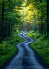 Fototapeta premium A narrow road meandering through a dense enchanted forest with soft light peeking through leaves