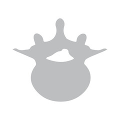 lumbar vertebra icon