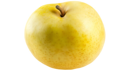 A single yellow asian pear sits in studio light