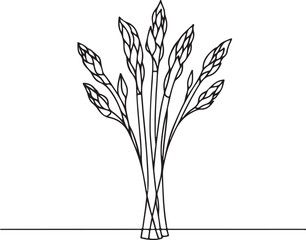 Elegant Line Art Illustration of Fresh Asparagus