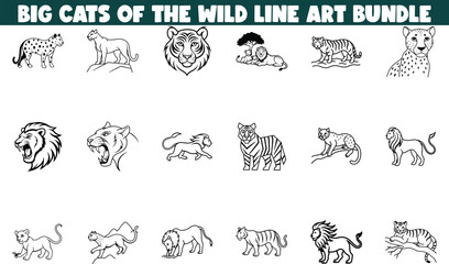 Wild Cat Line Art Bundle Lions, Tigers, Leopards, Cheetahs