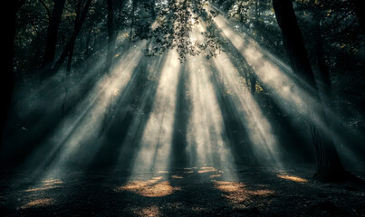 Obraz premium Sunbeams Cutting Through Forest Canopy with High Contrast Light Background