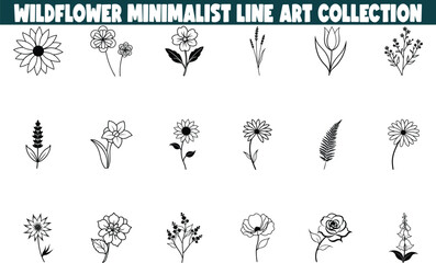 Wildflower Minimalist Line Art Collection Floral Designs, Botanical Illustrations