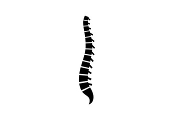 Spine medical poster