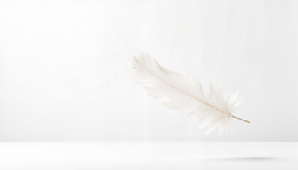 Obraz premium Single white feather falling gently against bright background, peace