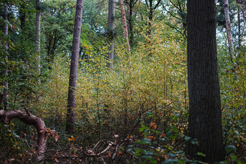 park view at eindhoven, netherland