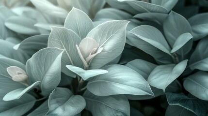 Obraz premium Abstract nature background featuring beige flower petals and leaf veins for aesthetic wallpaper