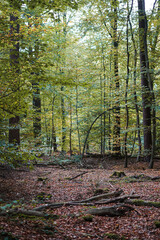 park view at eindhoven, netherland