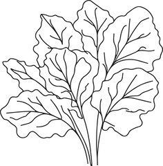 Minimalist Line Art of Collard Greens