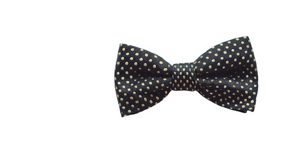 Elegant navy bow tie with contrasting polka dot pattern
