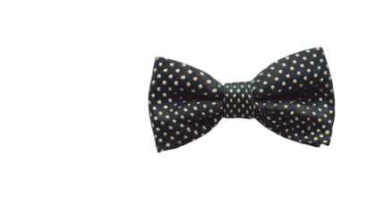 Elegant navy bow tie with contrasting polka dot pattern