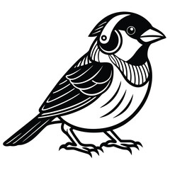 Obraz premium design-a-bold-sparrow-wearing-headphones-in-a-simp (3).eps