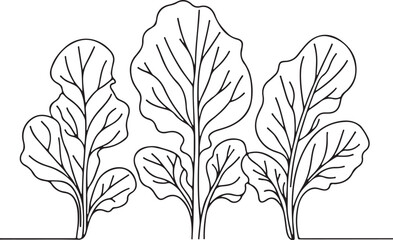 Minimalist Line Art of Collard Greens