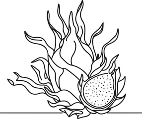 Black and White Dragonfruit Line Drawing Art