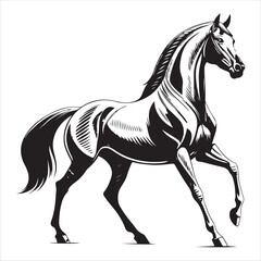 Horse Vector 
