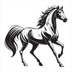 Horse Vector 