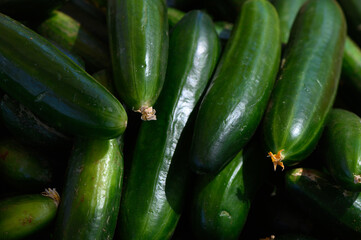 Freshly harvested cucumbers glistening under the sun at a bustling farmers market in late summer