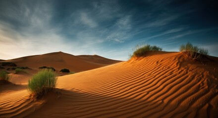 Obraz premium Serene desert landscape with rippled sand dunes and sparse vegetation