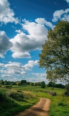 Obraz premium green field and blue sky
