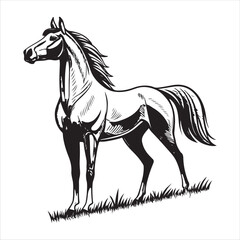 Horse Vector 