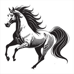 Horse Vector 