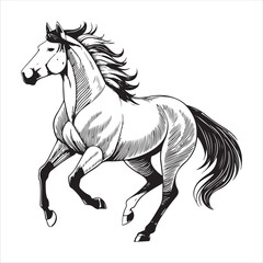 Horse Vector 