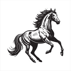 Horse Vector 