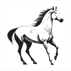 Horse Vector 