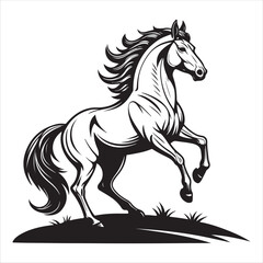 Horse Vector 