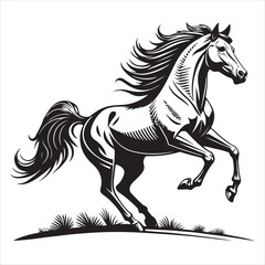 Horse Vector 