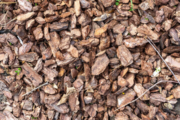 wooden chips for flower beds