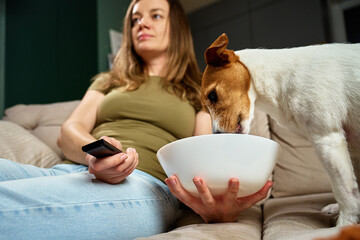 Woman relaxing on sofa with remote control while dog steals food. Pet dog eat food from bowl while owner focuses on TV. Home life and pet behavior concept