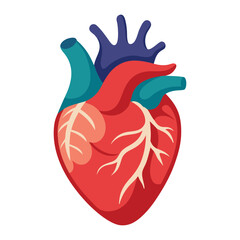 Human heart design vector illustration