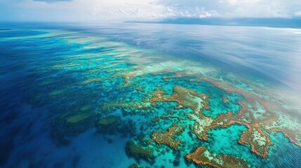 Fototapeta premium Panoramic aerial showcasing the breathtaking Great Barrier Reef formation and vibrant coral gardens