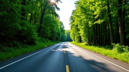 Fototapeta premium A sunlit asphalt road winds through a vibrant green forest canopy, offering a picturesque journey into nature's embrace.