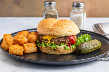hamburger  with tater tots  and pickle