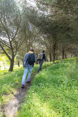 Obraz premium Hikers walking on path in lush green forest