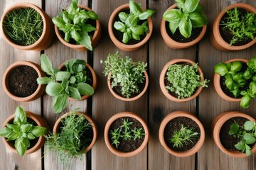 Potted herbs flat lay with natural light and negative space
