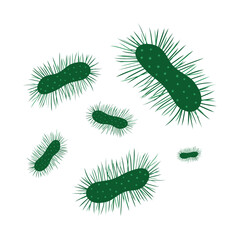 Virus bacterial infection in zoom view. Microorganisms in laboratory diagnosis