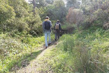 Obraz premium Hikers walking on trail in lush green forest