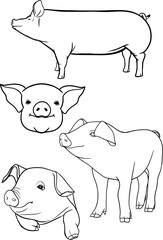 Pig set of vector outline illustration, coloring book page, logo, design element