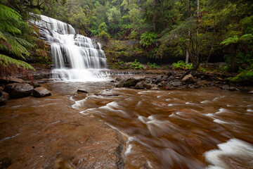 Wasserfall in Tasmanien, Liffey Falls in Australien nach einem starken Regen.