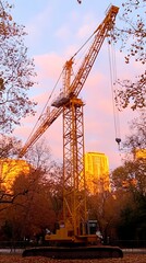Tower crane in park with sunset background
