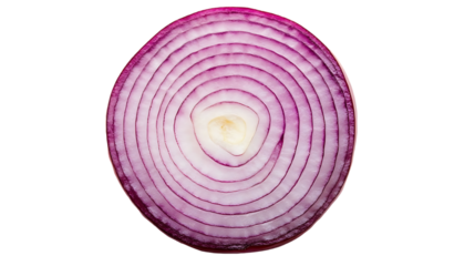 Cross section of a red onion shows circular layers