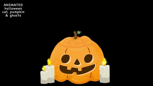Animation of the cat in the pumpkin with the ghosts arounf and candles, Halloween decoration