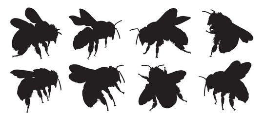 Honey bee vector silhouette. Set of insects in flight wasp bumblebee bee